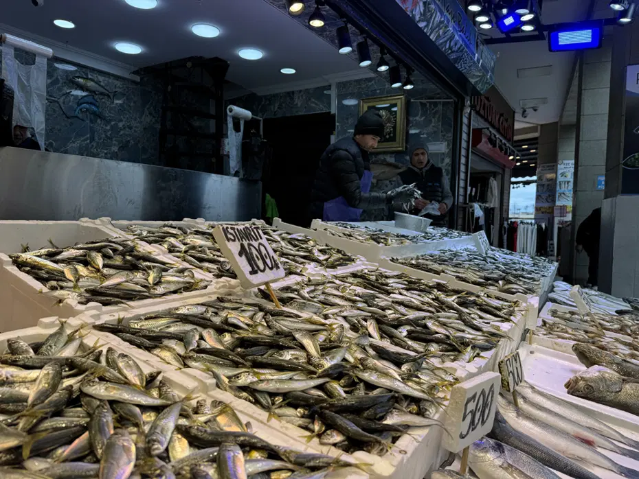 Tezgahta en çok bulunan balık. 100 liradan satışta