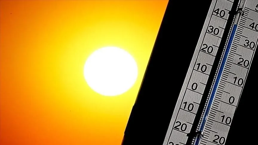 Portekiz'de aşırı sıcaklar nedeniyle son bir haftada 264 kişi öldü