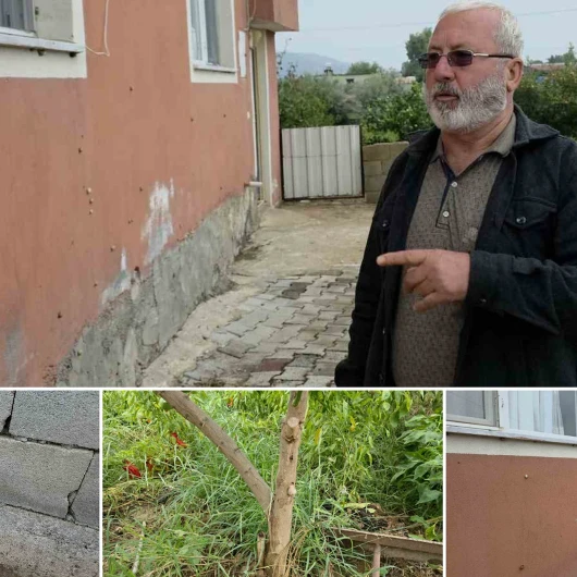 Deprem Sonrası Ortaya Çıktı: Mahalleyi Ele Geçirdiler