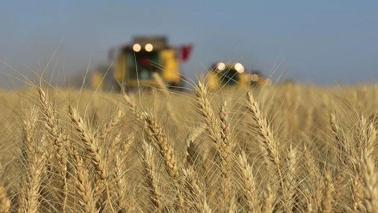 Yeni kalkınma denklemi: Doğa, toplum, gelecek
