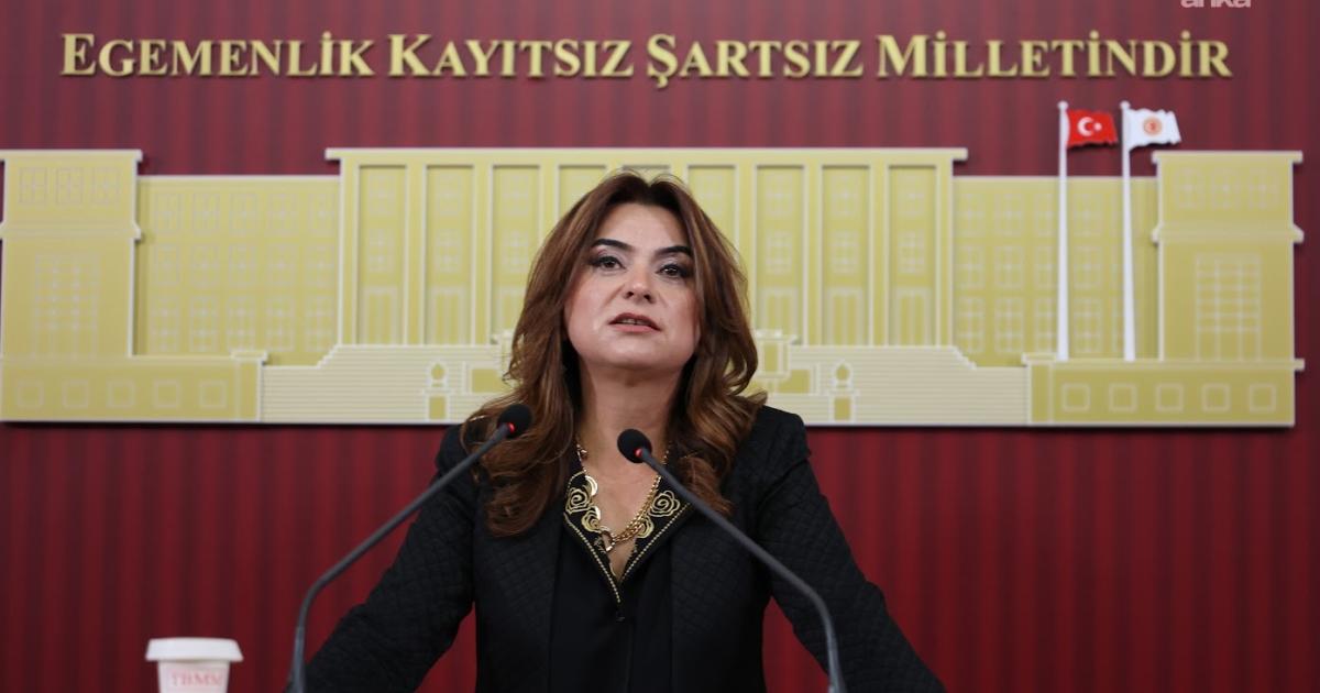 Gülistan Kılıç Koçyiğit: Dilde Barış Varsa Bütçede De Barış Olmalıdır