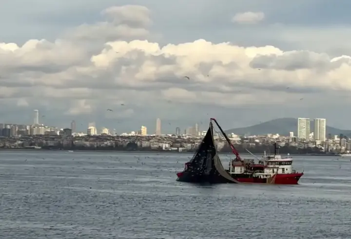 Av mevsiminin son günlerinde Marmara'da istavrit bolluğu