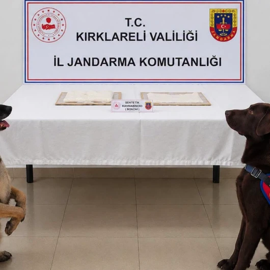 Cezaevine uyuşturucuyla girmeye çalışan hükümlü tutuklandı