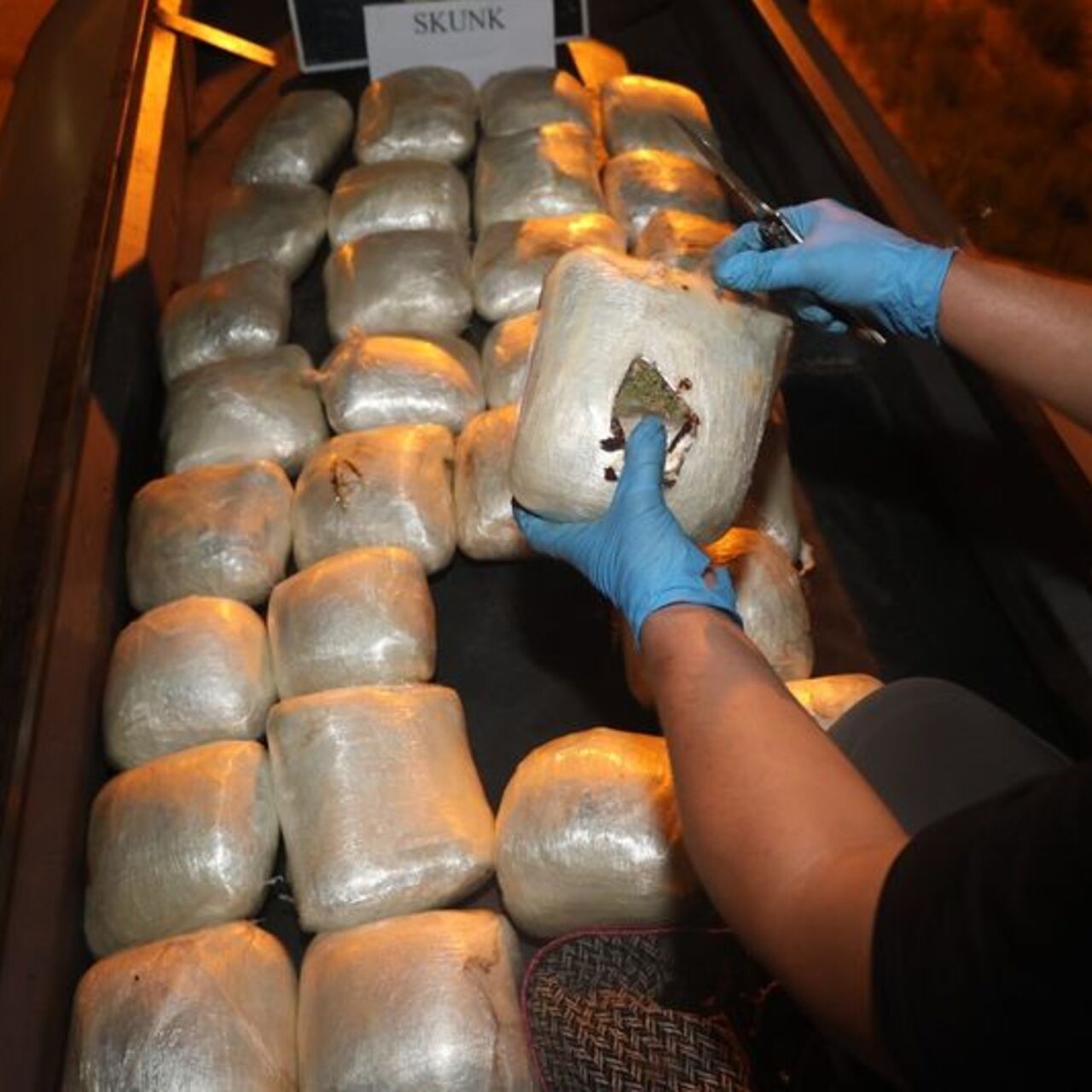 Esenyurt'ta 144 kg skunk ele geçirildi: 5 gözaltı