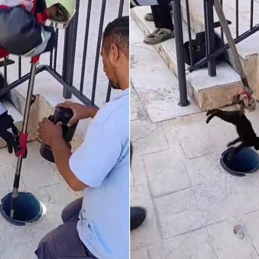 Hatay'da Havalandırma Borusundan Gelen Sesler Hareketlendirdi: Minik Kedi İçin İtfaiye Seferber Oldu