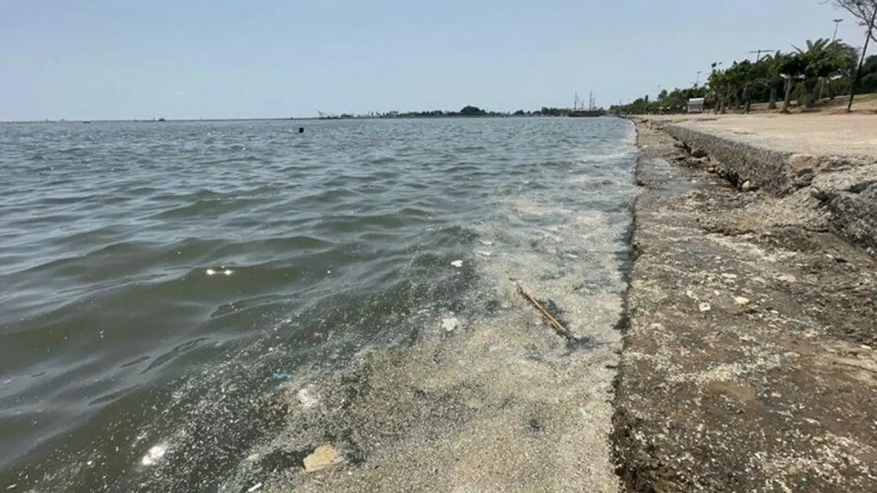Odtü'den Akdeniz İçin Kritik Uyarı: Körfezlerde Oksijen Seviyesi Yarı Yarıya Düştü, 'Kötü Senaryonun Ortasındayız'
