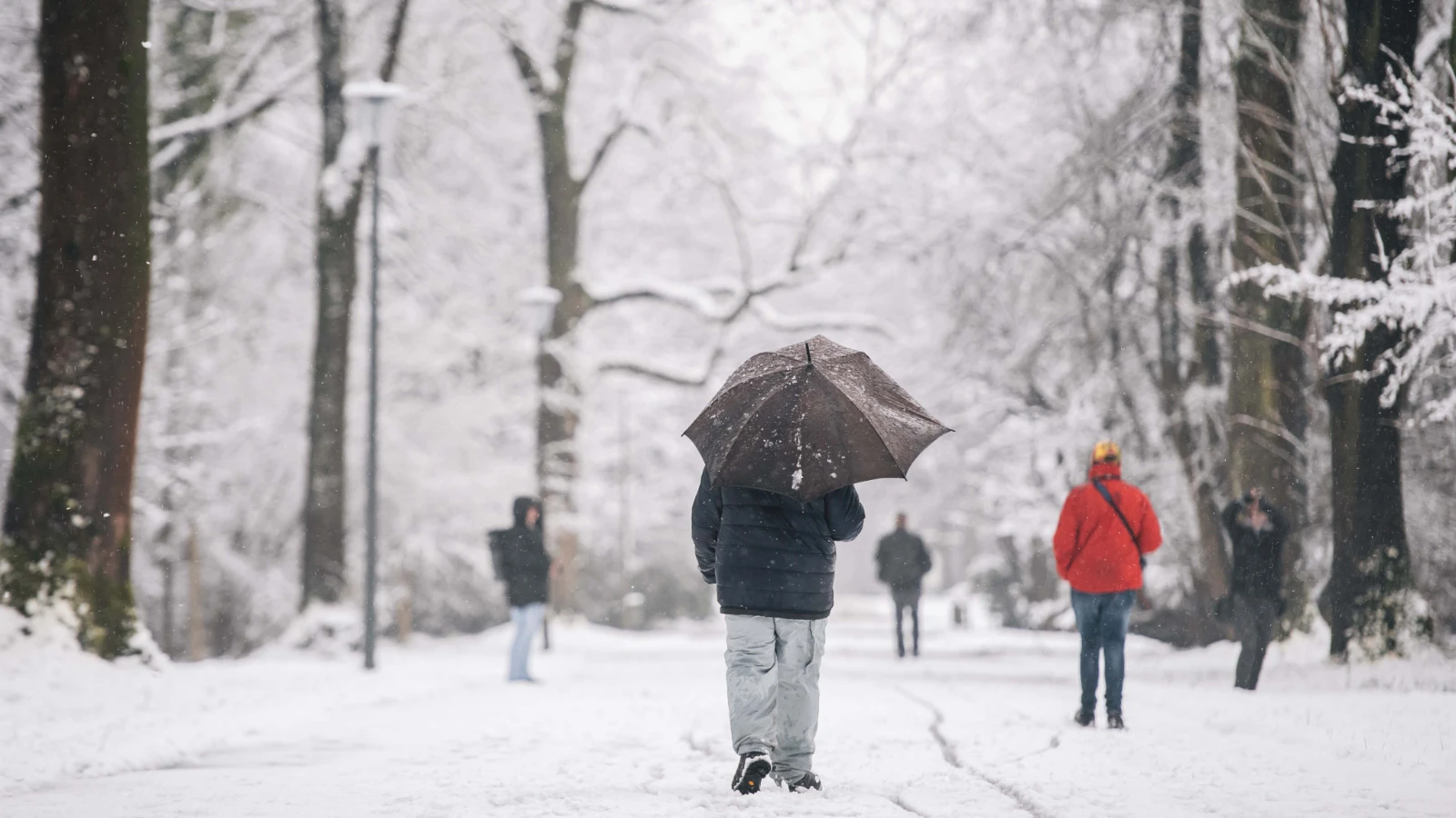35 şehrimize lapa lapa kar yağacak! Meteoroloji gün gün duyurdu