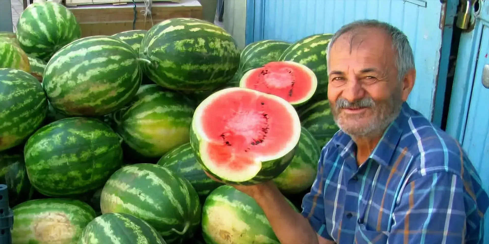 Yaz Bitti, Karpuz Hasadı Bitmedi! Gaziantep’te Emekçilerin Mesaisi Devam Ediyor, Türkiye'nin Dört Bir Yanına Gönderiliyor