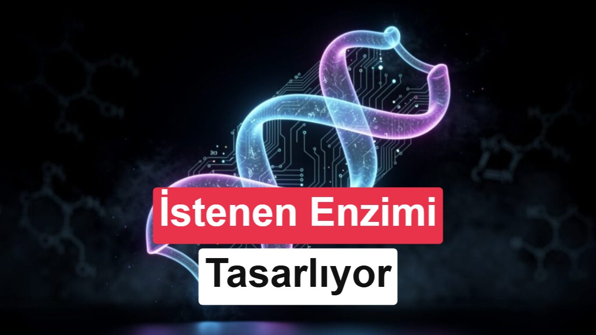 Google, istediğiniz iş için enzim tasarlayan yapay zekâsını açık kaynak hâle getirdi