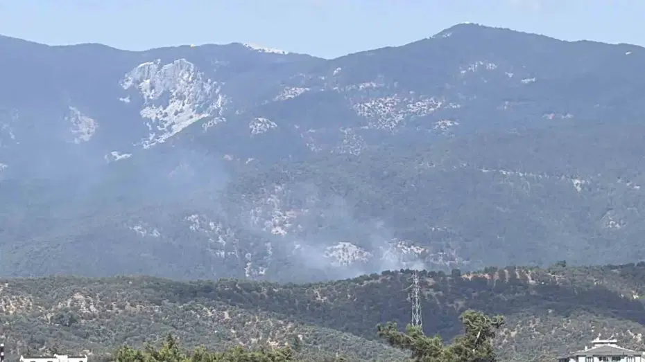 Kazdağı Milli Parkı'nda orman yangını