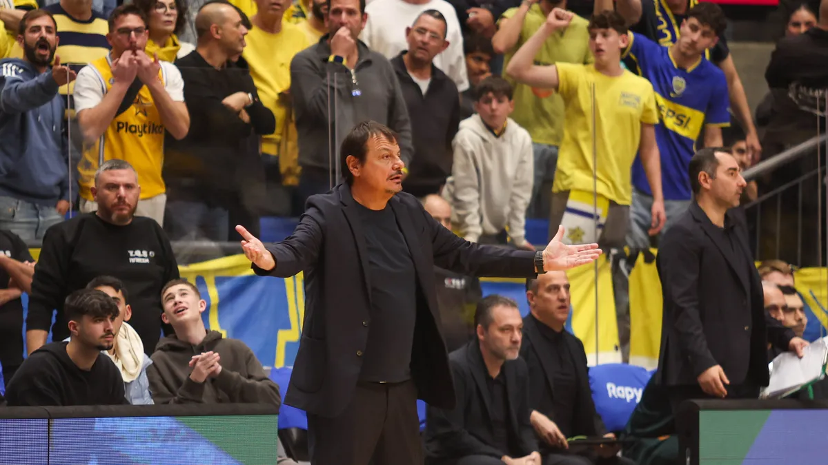 Cezaları açıklandı! Ergin Ataman'a ettikleri küfürlerin karşılığı...
