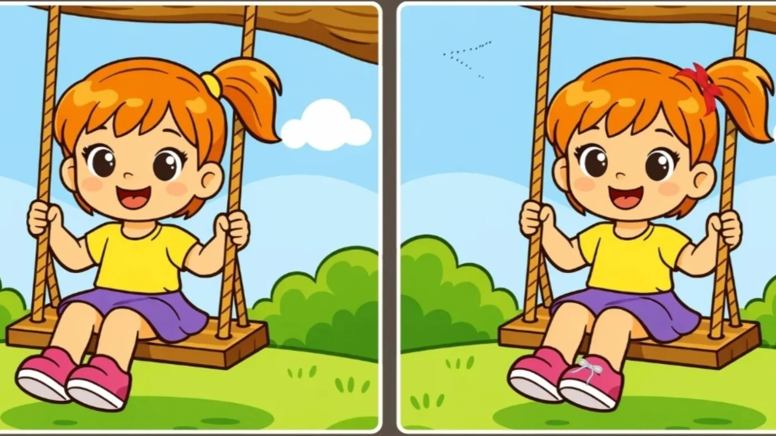 İki salıncak resmi arasındaki farkları sadece dahiler buluyor