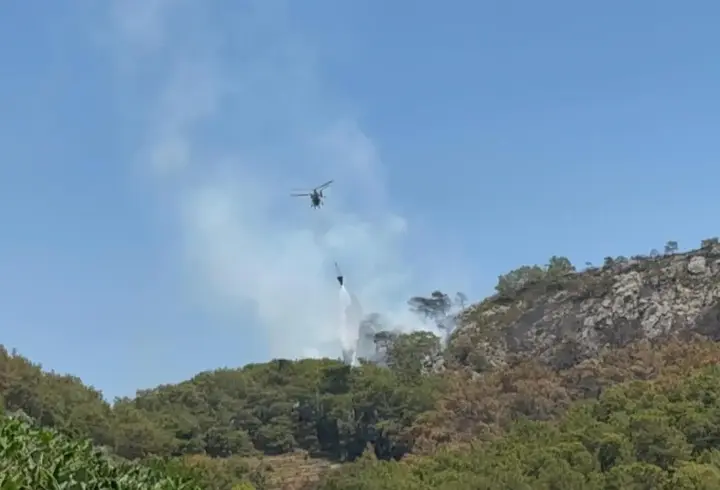 Antalya'daki orman yangınlarında 52 hektarlık alan zarar gördü