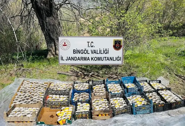 Bingöl'de Pet Bardaklarda 480 Kök Hint Keneviri Ele Geçirildi