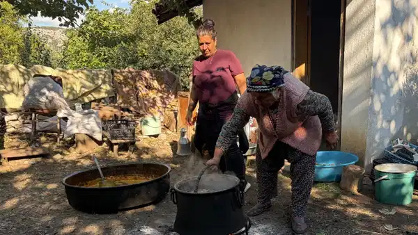 Toros Dağları'ndan Toplayıp Kazanlara Atıyorlar! 'Yapmayan Çöpe Atmak Zorunda Kalıyor'
