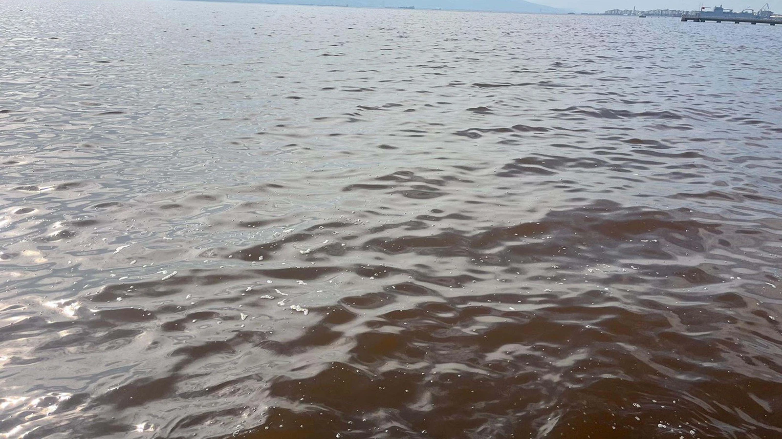 İzmir'de korkutan görüntü: Deniz kahverengiye döndü