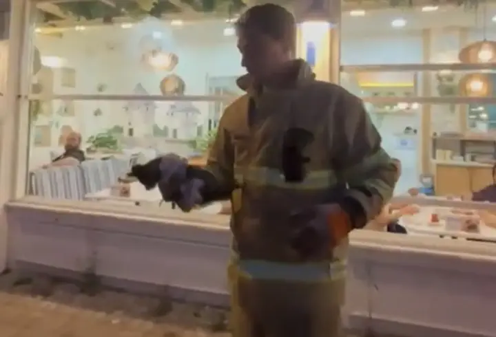 Otomobilin motoruna sıkışan yavru kedi kurtarıldı