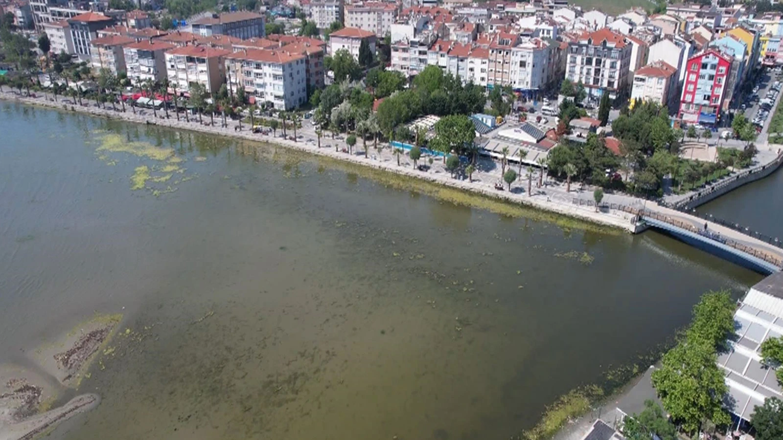 İstanbul'da deniz yeşile büründü! Bölge ciddi risk altında