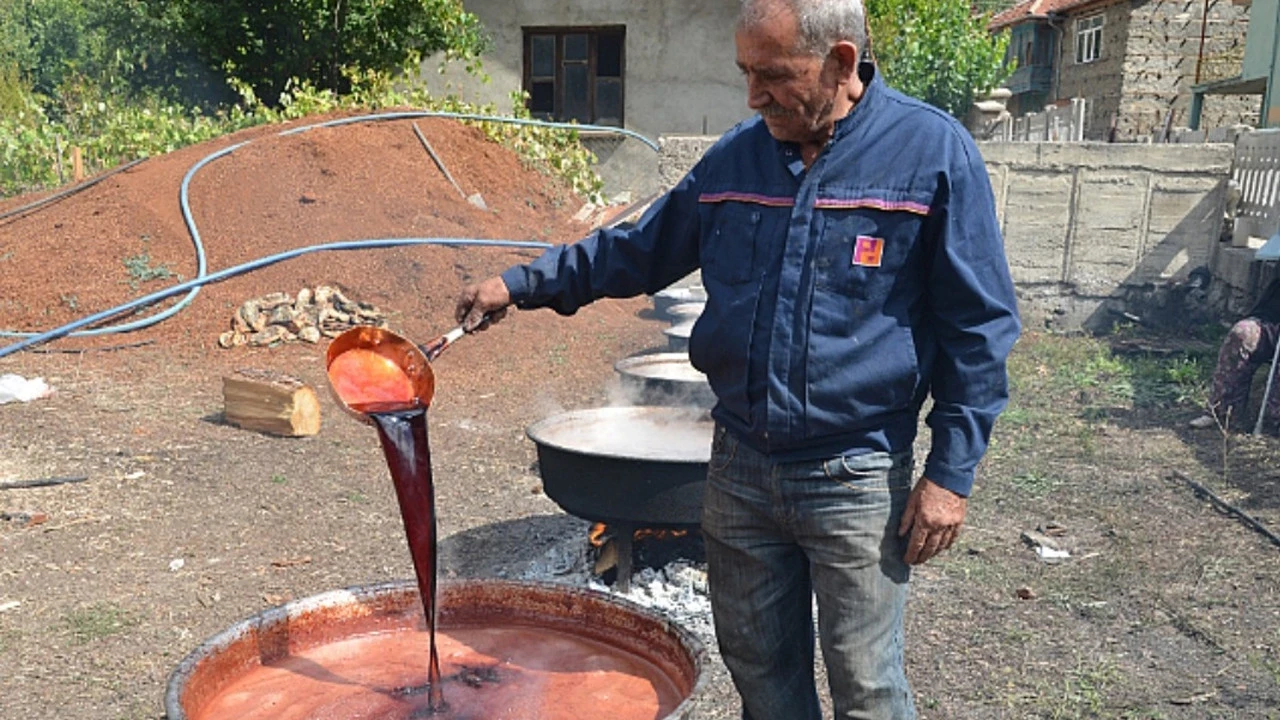 Andız Pekmezinin Vatanı Toroslar'dır