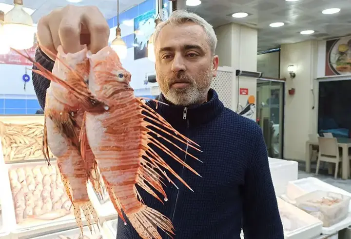 Tezgahta satışı yasak olan aslan balığının özel müşterisi var