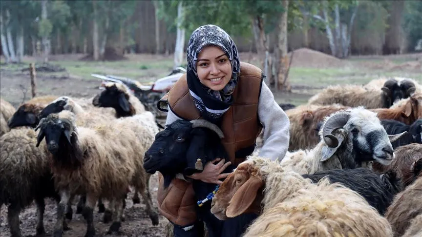 Depremde hayvanları ölen üniversite öğrencisi kadın, devlet desteğiyle besiciliği sürdürüyor
