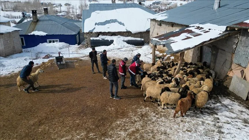 Sürülere kış mevsimine özel mobil sağlık hizmeti