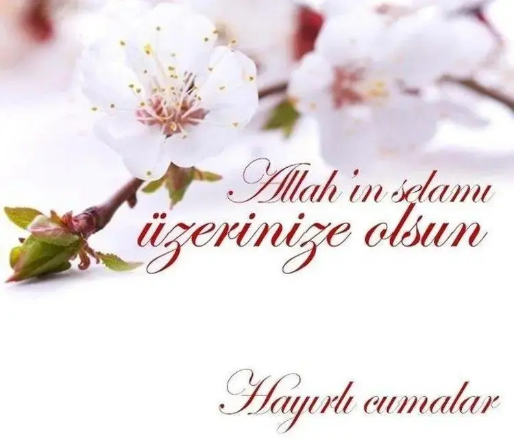 En Güzel, Anlamlı Ve Dualı Cuma Mesajları 2026: Resimli, Ayetli, Kısa Ve Yeni Cuma Sözleri Paylaşın!