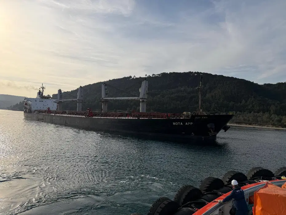 Çanakkale Boğazı'nda gemi karaya oturdu