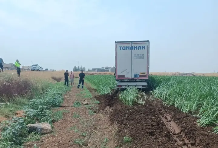 Mısır tarlasına giren TIR’ın şoförü yaralandı