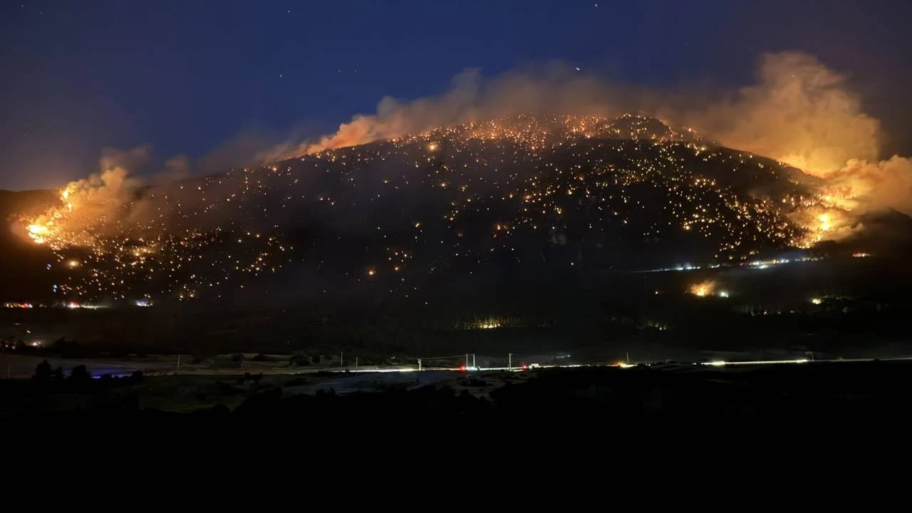 Denizli'nin Pamukkale ilçesindeki orman yangını kontrol altına alındı