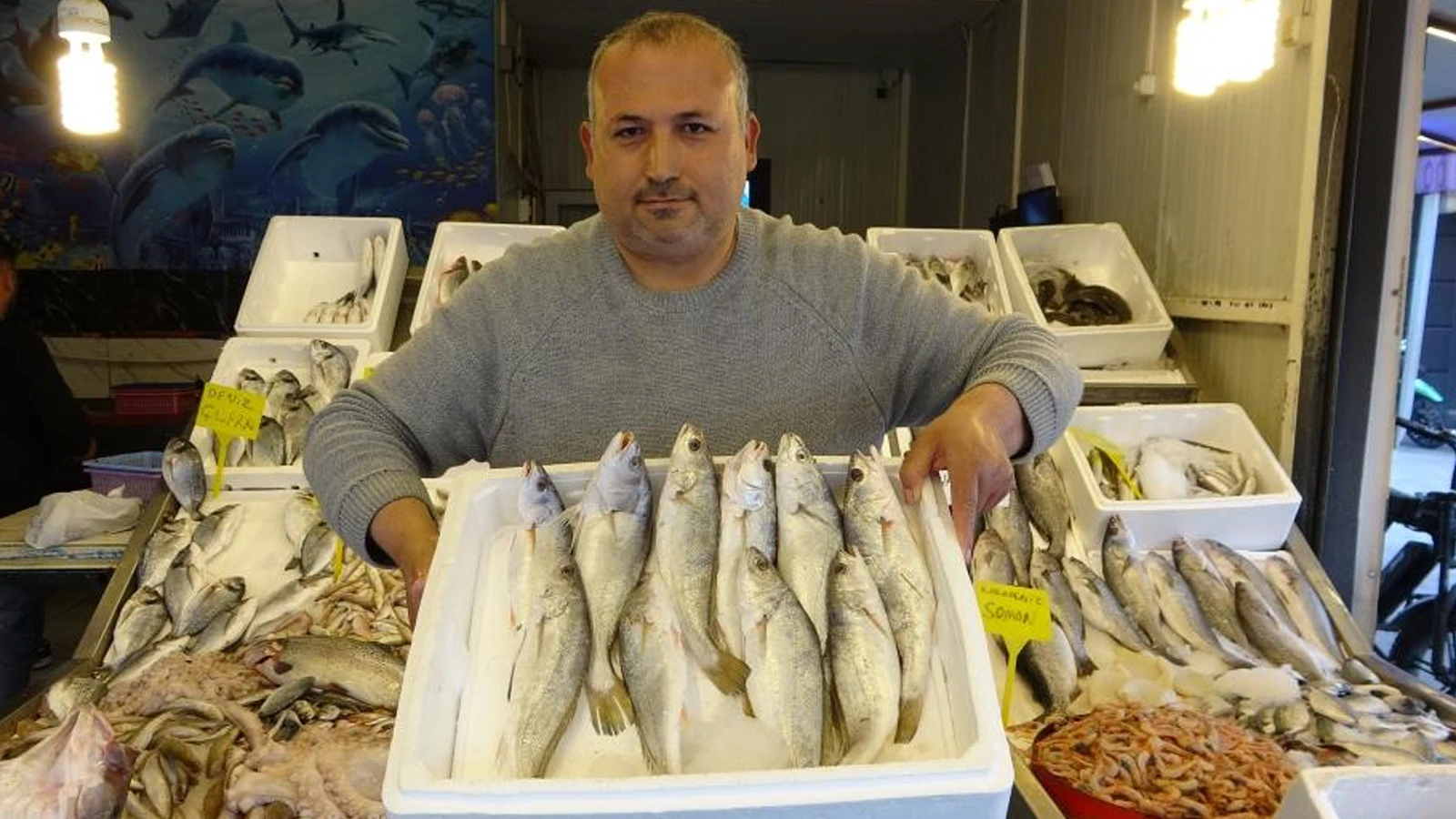 Akdeniz'de av yasağı başlıyor