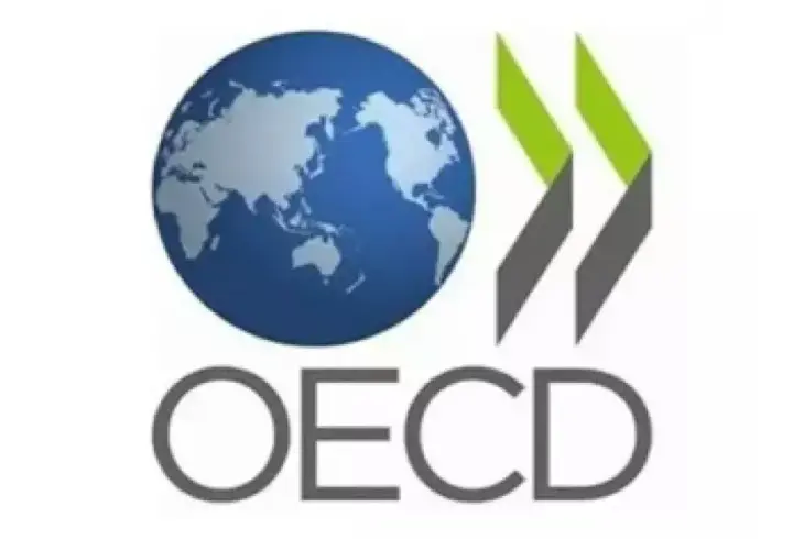 OECD, Türkiye için büyüme ve enflasyon tahminini açıkladı