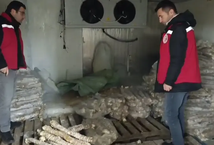 Piyasa değeri 4 milyon lira! Gıda denetiminde ele geçirildi, derhal imha edildi