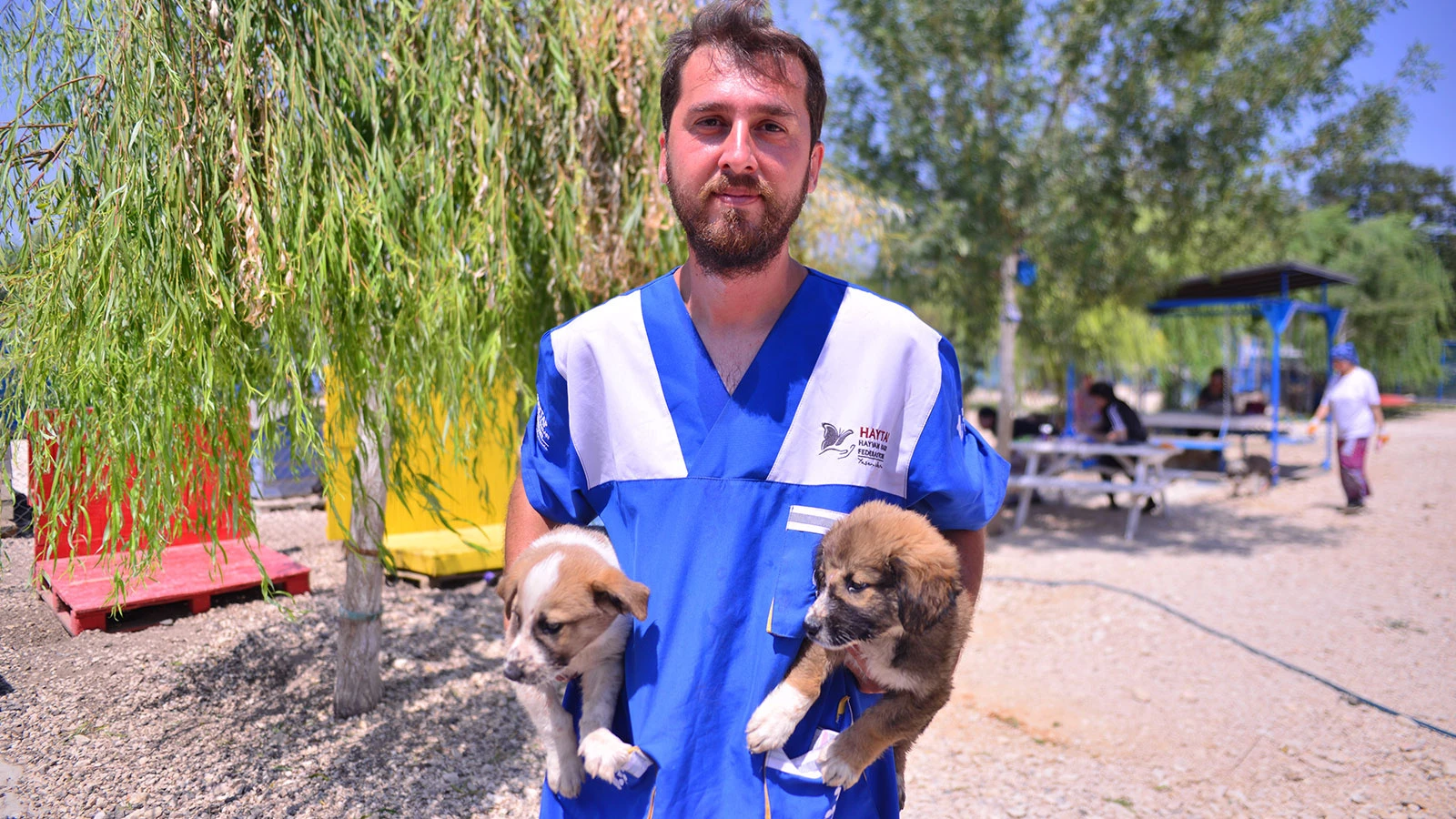 Eşek, keçi, horoz, kedi, köpek, civciv... İzmir'deki orman yangınından kurtarılan melekler, Bursa'da tedavi altında
