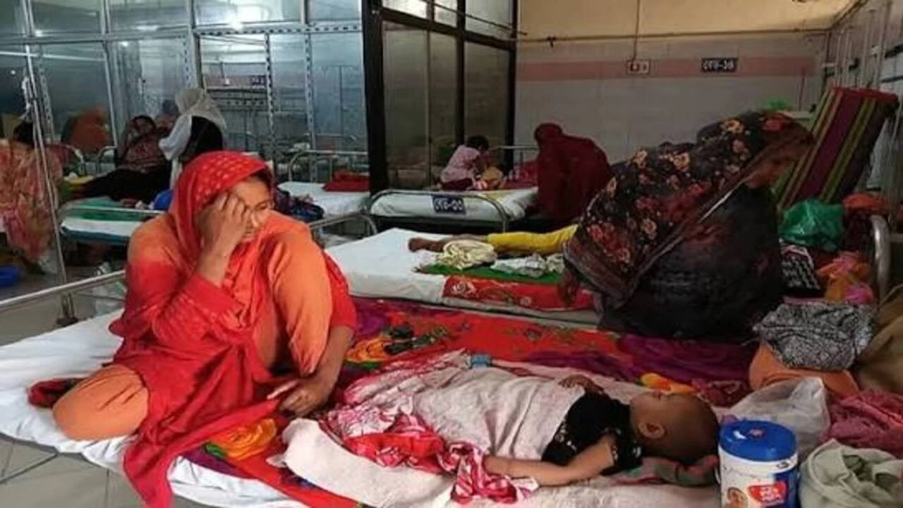 Bangladeşli Uzmanlardan Küresel Çevreye Net Uyarı: "Bu Her Ülke İçin Bir Alarmdır"