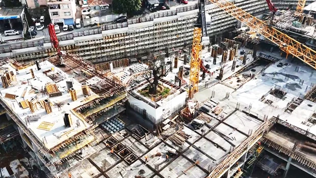 Yükselen Yapıların Ortasında Tek Başına: Tarihi Tersanedeki Asırlık Ağaç Havadan Görüntülendi