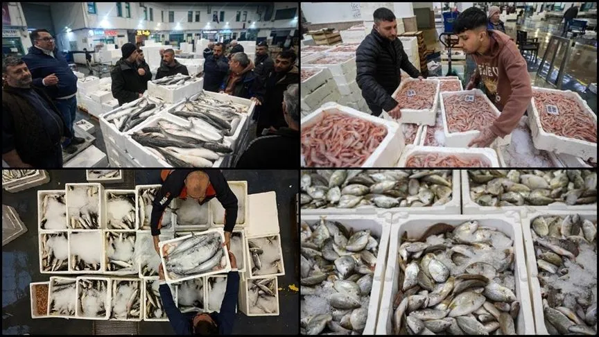 Egeli balıkçılar sezonu geçen yılın üzerinde balıkla kapatacak