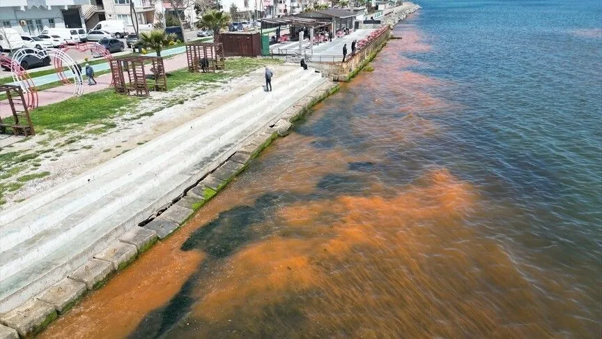 Tekirdağ'da planktonların çoğalması sonucu denizin rengi yer yer değişti