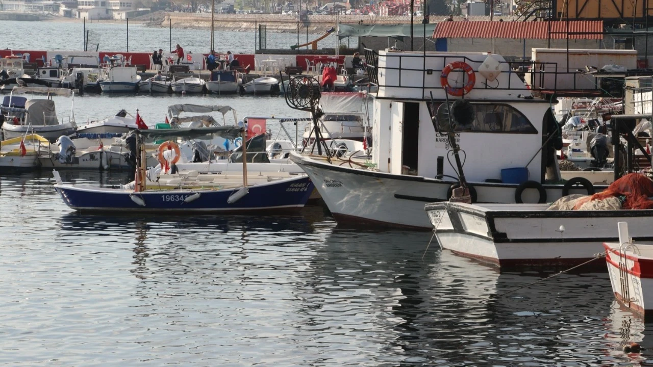 Marmara'da balık bolluğu: Balıkçılar Tekirdağ'a akın etti