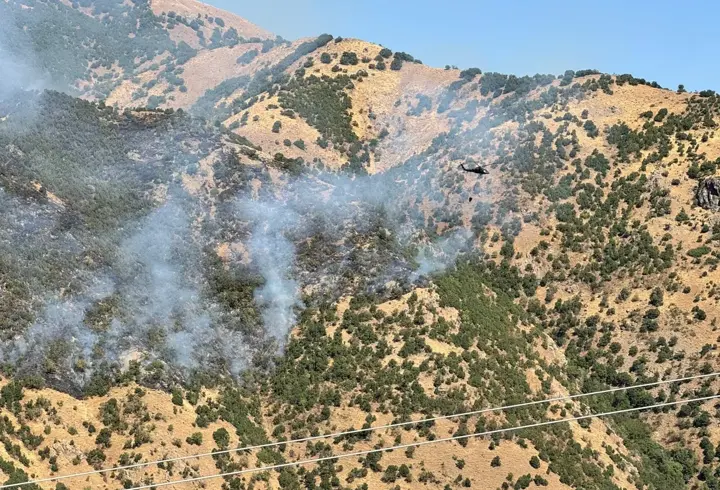 Hakkari'de çıkan orman yangını kontrol altına alındı (2)