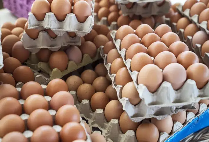 Türkiye'nin Yumurta İhracatı 9 Ayda Yüzde 54 Arttı