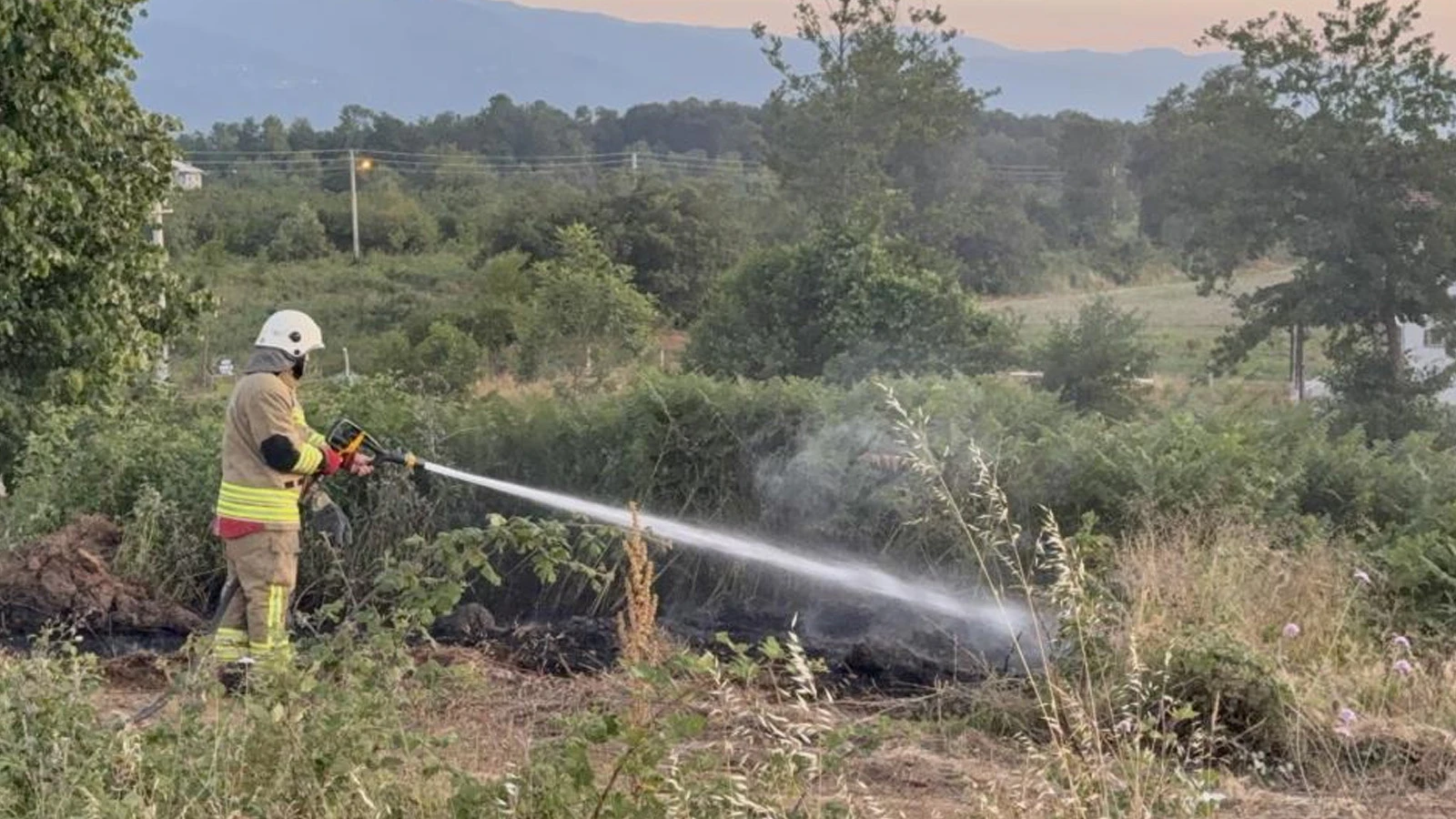 Yol kenarına atılan izmarit, otluk alanda yangına neden oldu