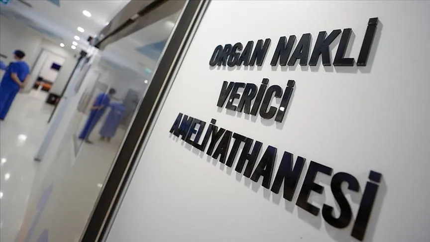 Türkiye "canlı vericili nakiller"de dünyada böbrekte ilk, karaciğerde ikinci sırada