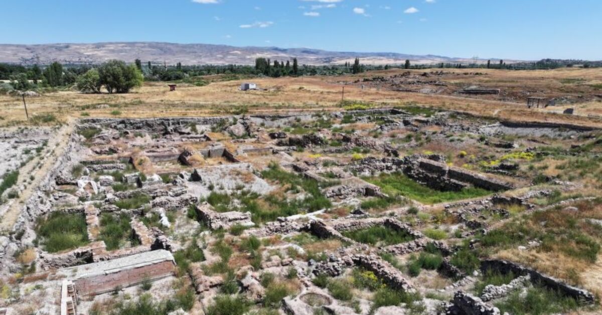 25 ülkeden bilim insanları Kayseri'de iz sürüyor