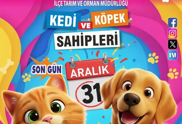 Burhaniye'de kedi ve köpekler için mikroçip uyarısı