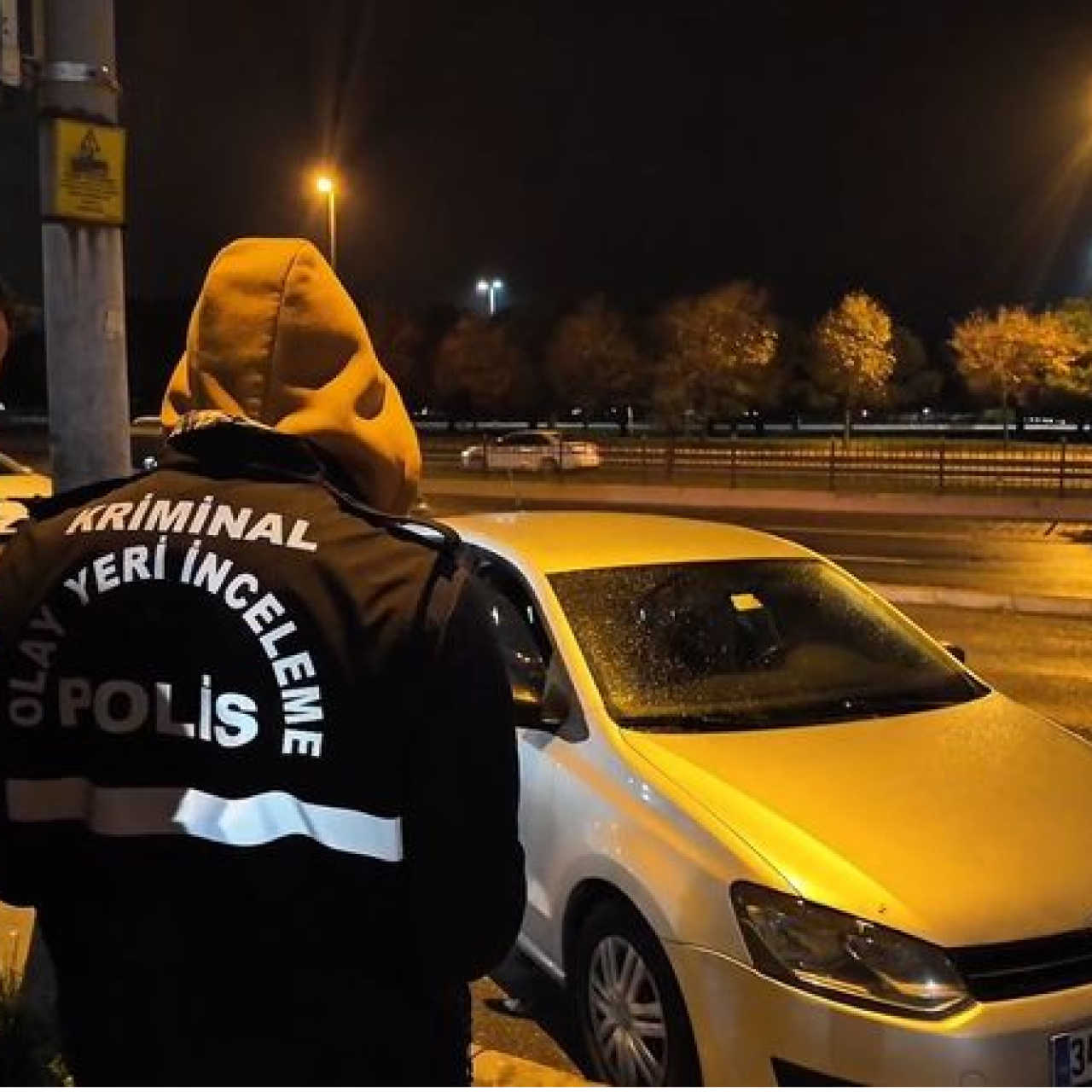 Park halindeki otomobilde ölü bulundu