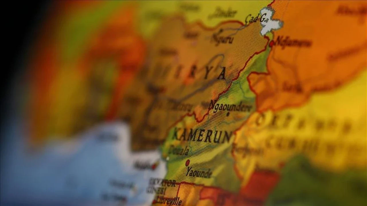 Dünya'da bir ilk: Kamerun seçimi için Türkiye'den 15 milyon promosyon ürün talebi