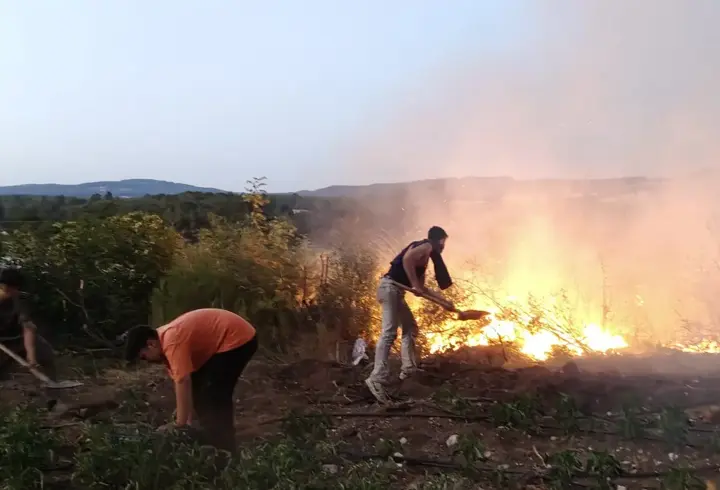 Balıkesir'de tavuk çiftliğinde başlayan yangın ormanlık alana sıçradı