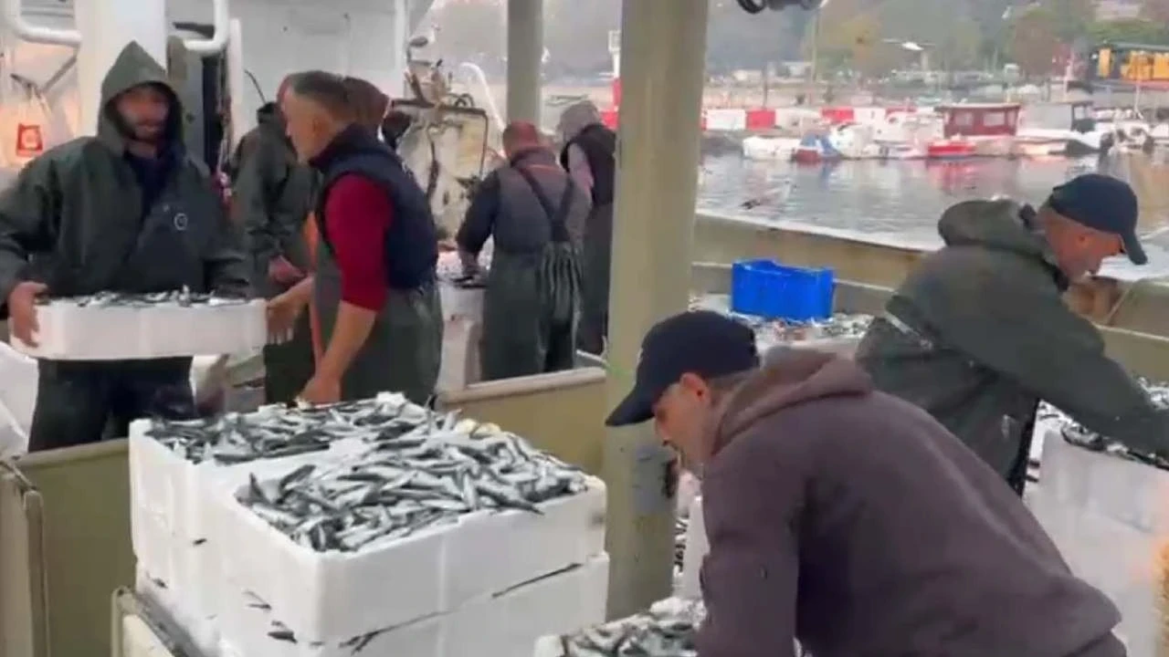 Marmara'da bereketli av: Balıkçılar iki bin kasa balıkla döndü