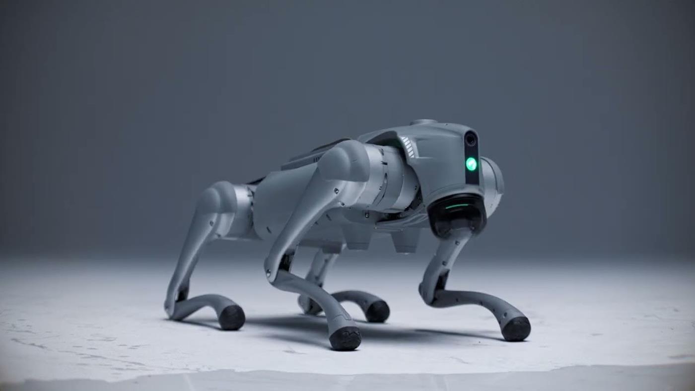 Robotikte devrim: İnsan gibi kendi kendine öğrenebilen robot köpek geliştirildi